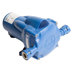 Whale Watermaster Auto Pump 12L 12V 30PSI + Strainer